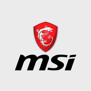 MSI (1)